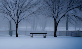 Canada in Winter