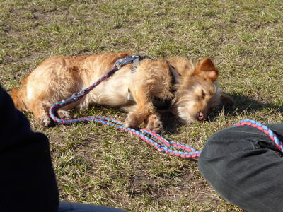Mascha Relaxing
